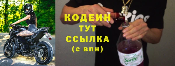 прущие грибы Елабуга