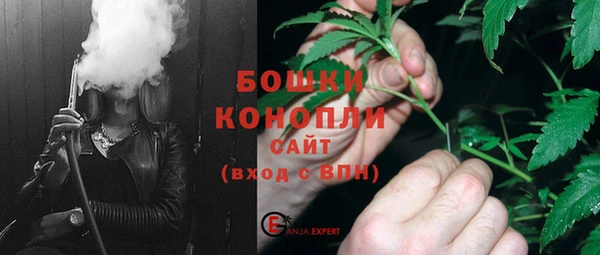 прущие грибы Елабуга
