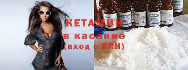 прущие грибы Елабуга