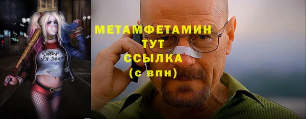 прущие грибы Елабуга