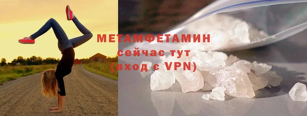 прущие грибы Елабуга