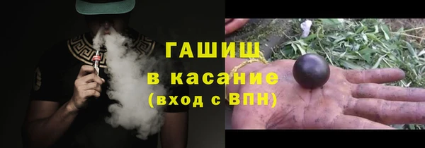 прущие грибы Елабуга