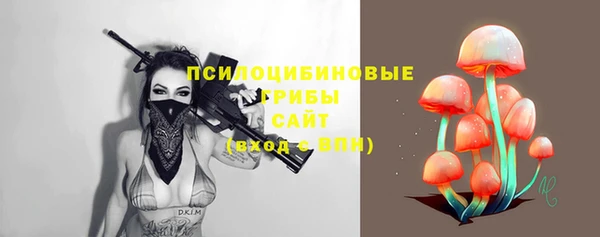 соль курить ск Ельня