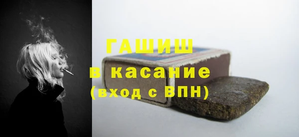 прущие грибы Елабуга