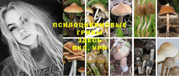 каннабис Елизово
