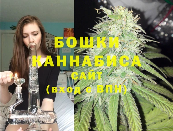 прущие грибы Елабуга
