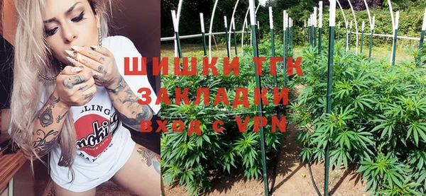 прущие грибы Елабуга