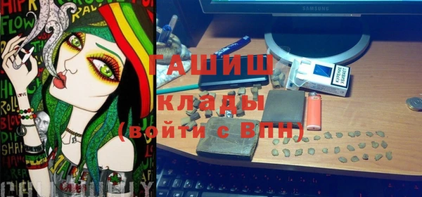 прущие грибы Елабуга