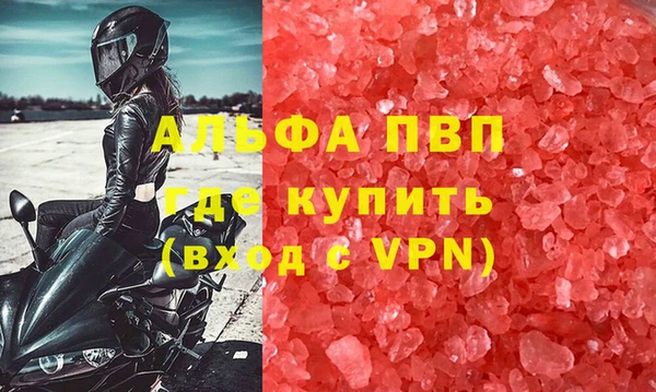 прущие грибы Елабуга