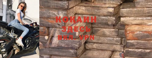 прущие грибы Елабуга