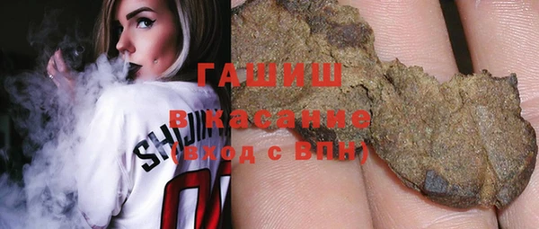 прущие грибы Елабуга