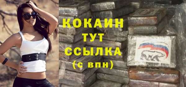 прущие грибы Елабуга