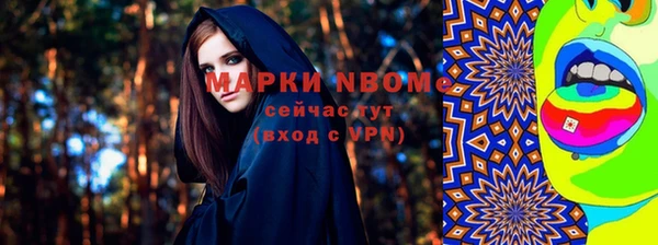 прущие грибы Елабуга