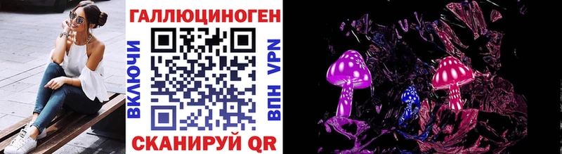 где найти наркотики  Каргополь  Галлюциногенные грибы MAGIC MUSHROOMS 